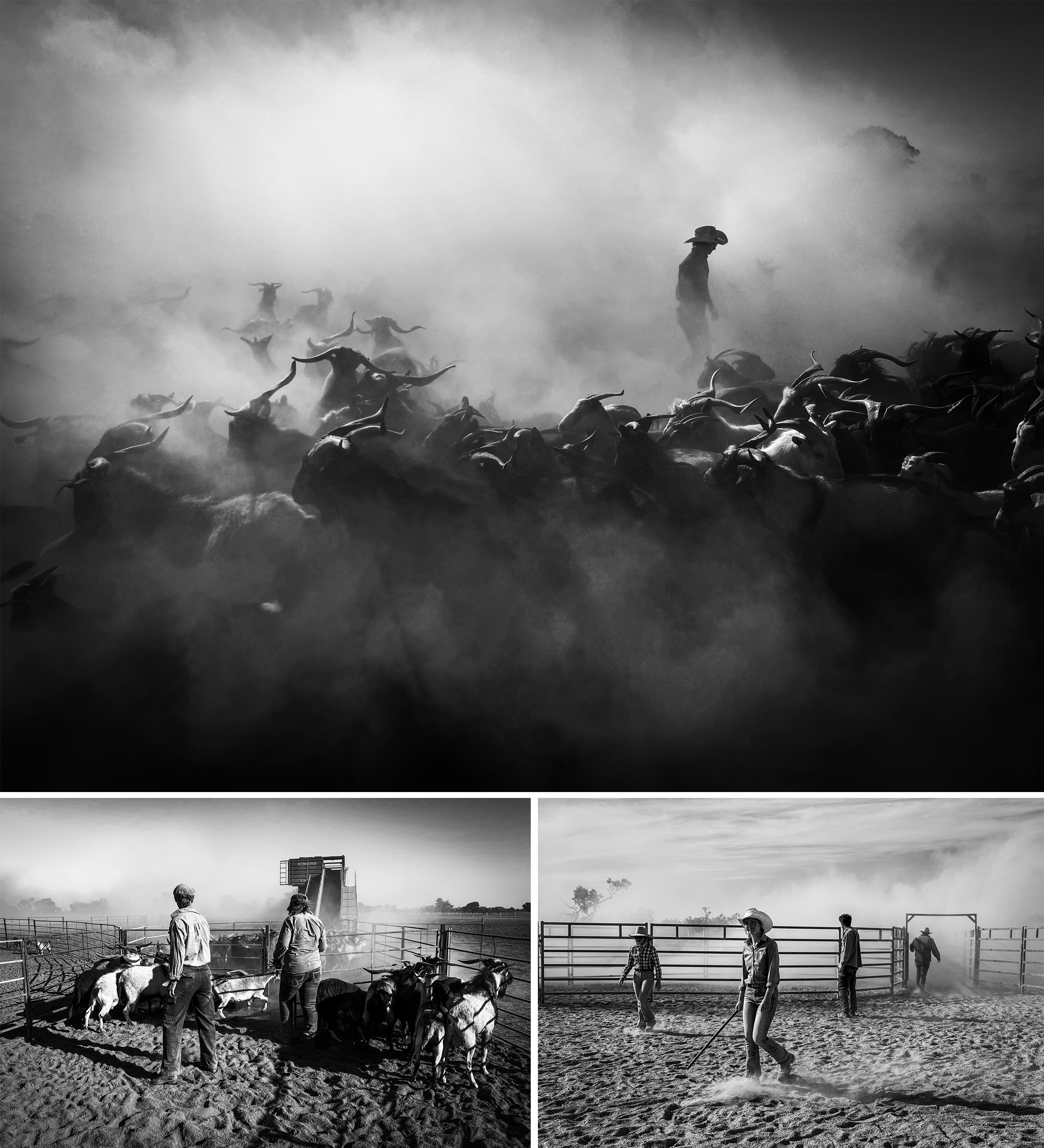 Black & White Category, Australasia's Top Emerging Photographers 2026.