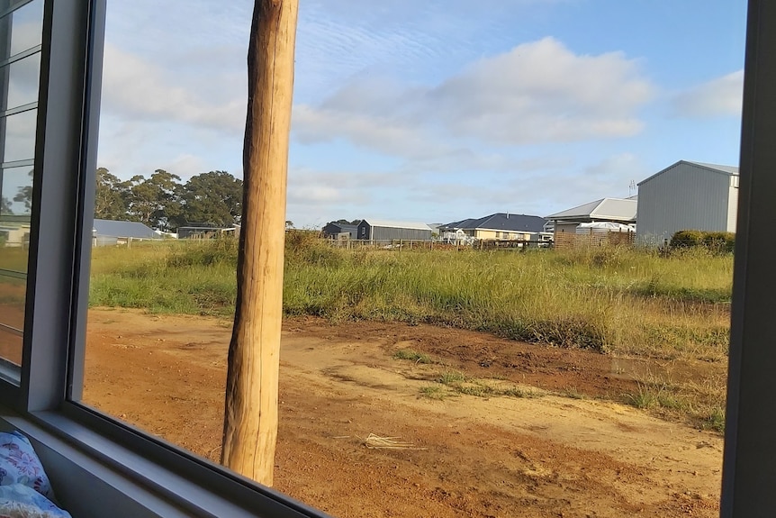 A barren backyard through a window