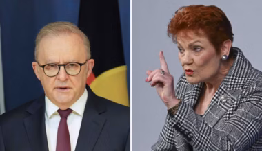 Albanese takes aim at One Nation after Pauline Hanson NPC address
