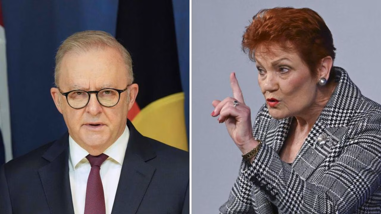 Albanese takes aim at One Nation after Pauline Hanson NPC address
