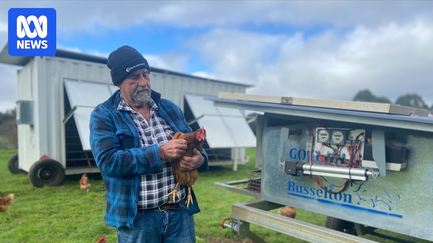 Farmers face nervous wait as bird flu investigations and testing widen in WA