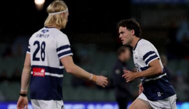 Live AFL 2026, Geelong Cats vs Gold Coast Suns Round 14