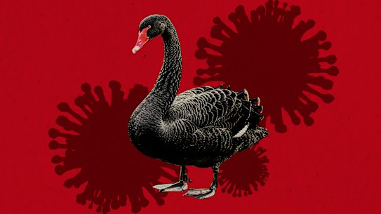 There is no evidence of an outbreak of the deadly H5 bird flu but experts say it is likely it will spread among wildlife at some point.