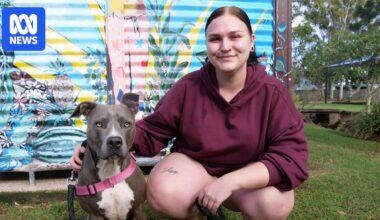 Young Australians going to extreme lengths to secure rental homes in housing crisis