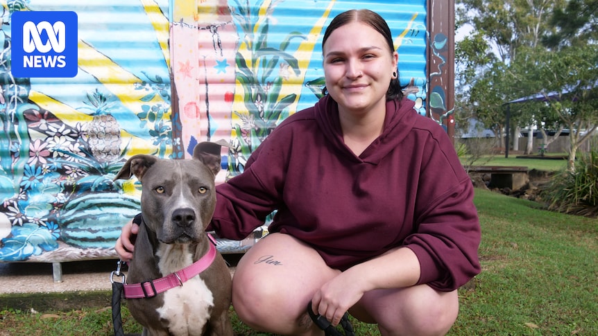 Young Australians going to extreme lengths to secure rental homes in housing crisis
