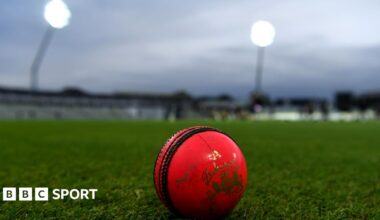 Image of a pink ball at the boundary edge, beneath floodlights