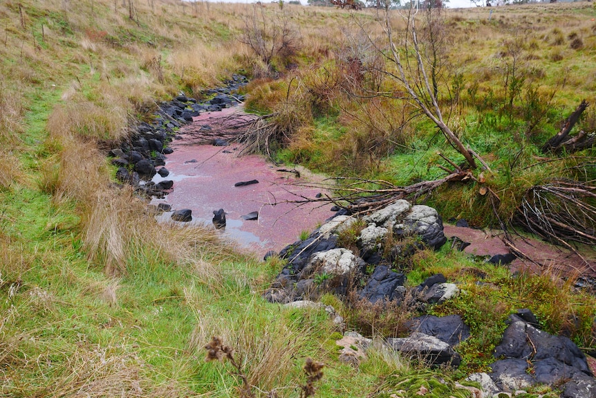 A red and green looking river