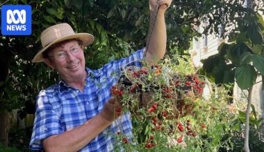 Gardening Australia star proud to be out after being 'de-gayed for TV for 26 years'
