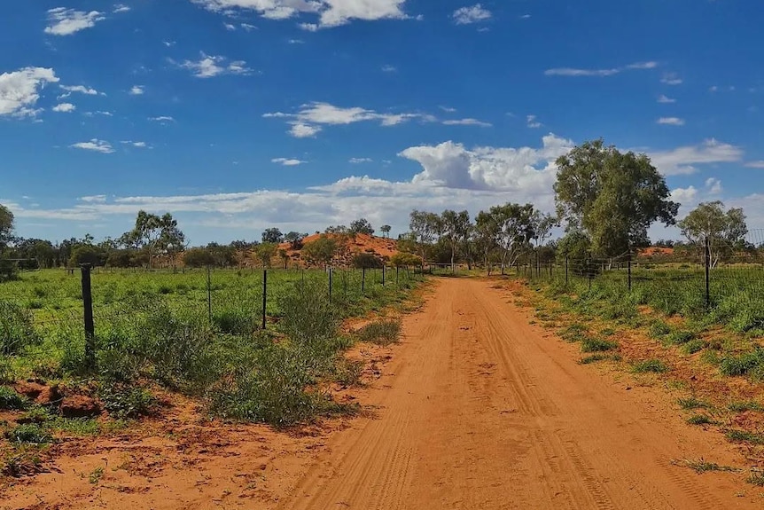 An orange dirt road leading into the bush