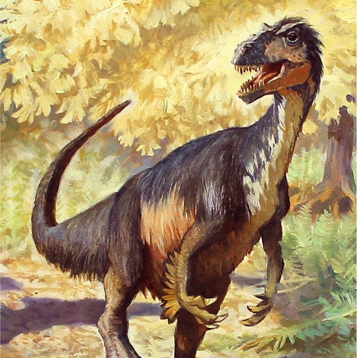 Artist impression of a carnivorous dinosaur covered in feathers.