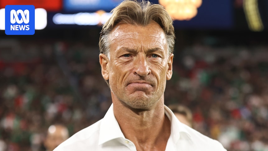 Tunisia names Hervé Renard as new FIFA World Cup coach after sudden axing of Sabri Lamouchi