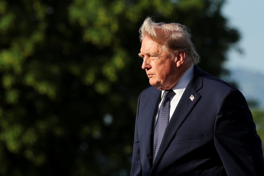 Donald Trump in front of a tree, a side pose with his hair swept away by the wind.