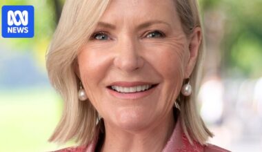 Colleen Harkin quits Liberal party a week after attending One Nation fundraiser