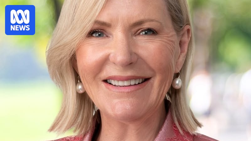 Colleen Harkin quits Liberal party a week after attending One Nation fundraiser