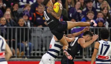 Weekend Footy Wrap: No wharfie time needed, Freo go 13 wins on the trot