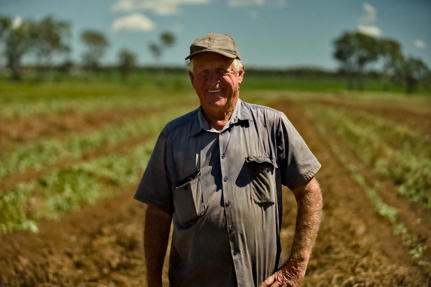 An older man standing in front of a field of peanut plants.