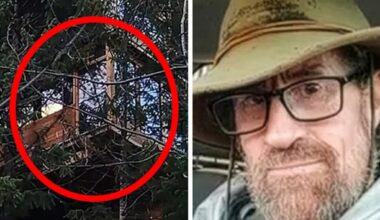 Council tries to evict man living in treehouse he built himself