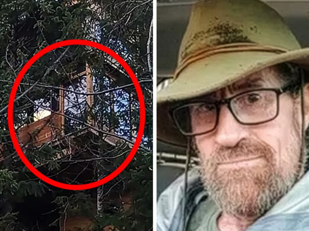 Council tries to evict man living in treehouse he built himself