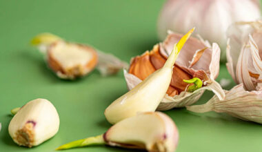 Is Sprouted Garlic Safe to Eat? Here's What Experts Say