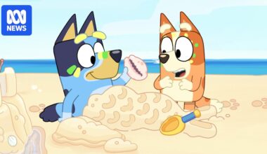 Bluey translated into an Indigenous language for the first time