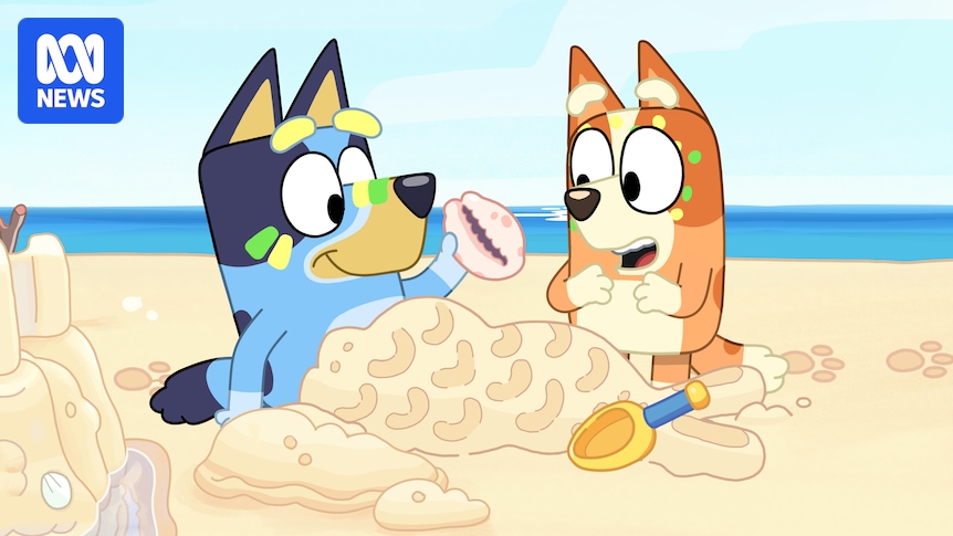 Bluey translated into an Indigenous language for the first time