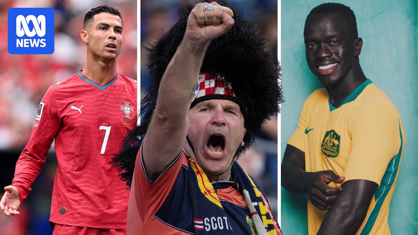 World Cup quick hits: Ibrahamovic calls Fox Sports colleagues 'ignorant', Boston almost runs out of beer and Ronaldo struggles