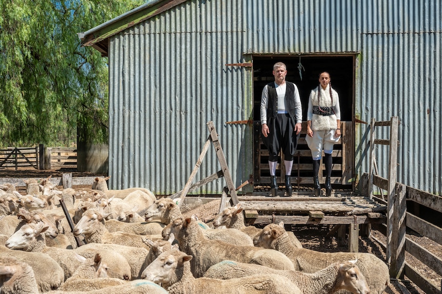Alisdair Macindoe and Carly Sheppard, both early 40s, stand to attention behind a pen full of sheep.