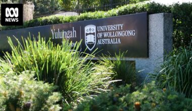 ICAC told UOW governance was 'stacked' with chief's friends and associates