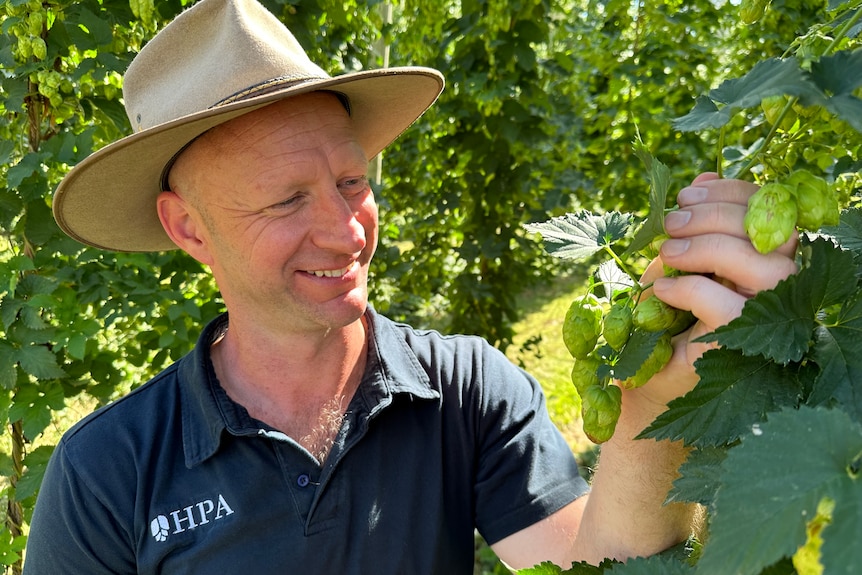 Photo of a man holding a hop plant.
