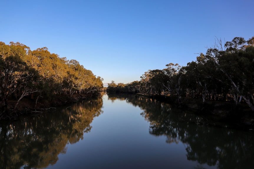 blue sky above a treewide tree-lined river. The water is a dark brown shade and the trees are reflected on its surface.