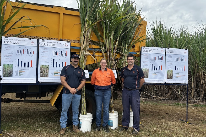 Three people standing in front of sugarcane and research posters.