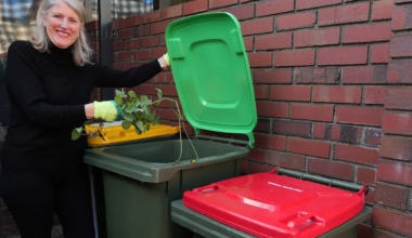 Aussie council shuts down bin request after controversial change: 'People can't make it work'