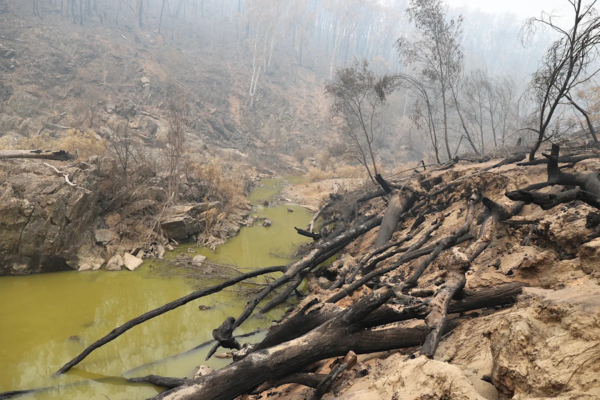 Harrowing creek photos spark fears for ancient species facing extinction