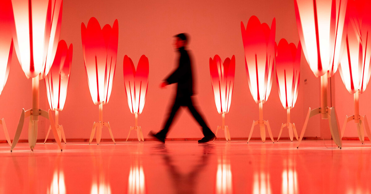 glowing red tulips form a participatory light and sound installation