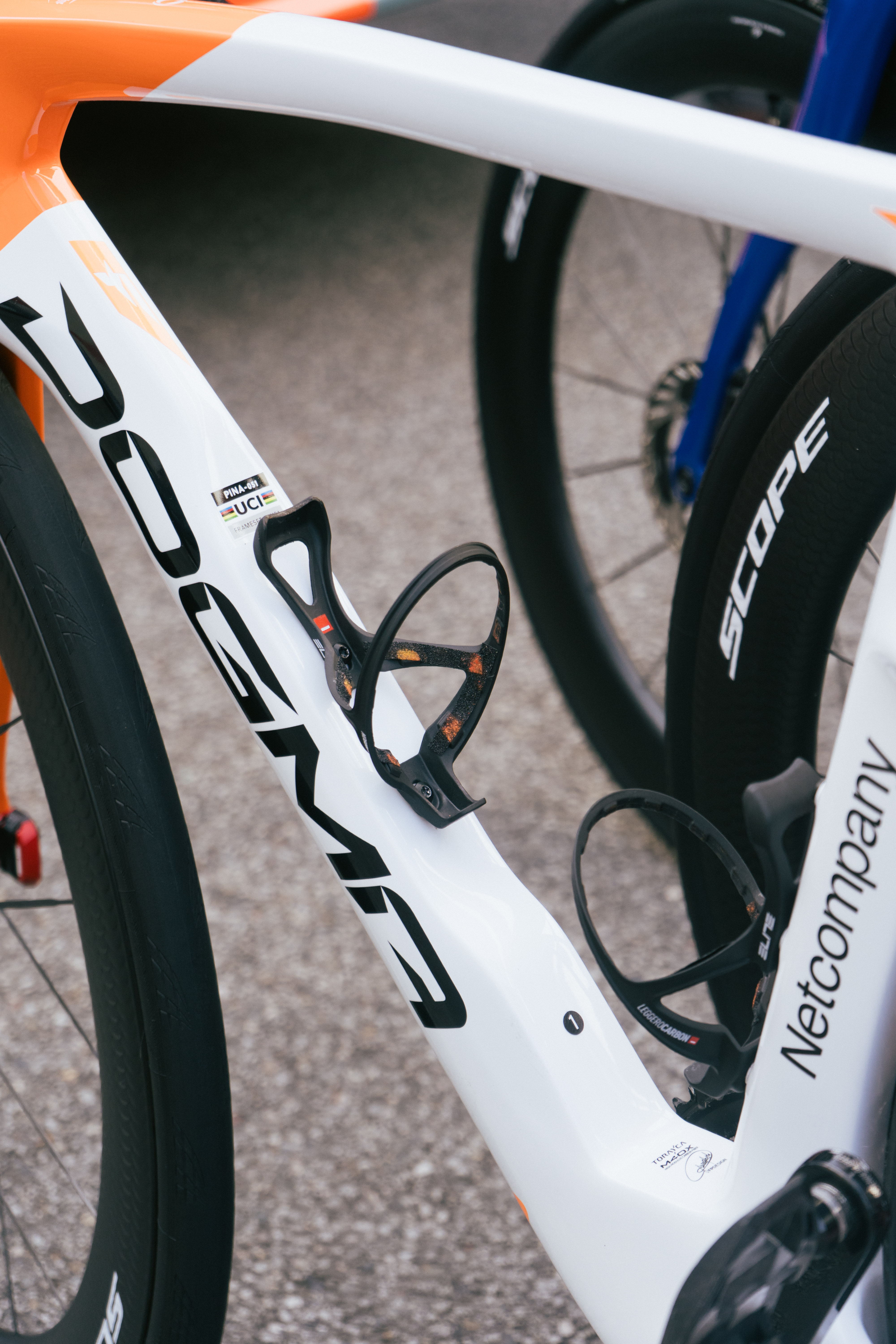 Dogma F