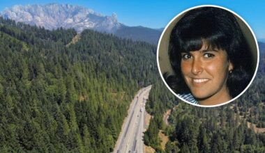 Daughter of legendary Hollywood filmmaker William Wyler and her husband found dead in parked car