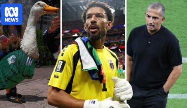 World Cup quick hits: Cabo Verde finds player on LinkedIn, meet Merlin the Duck