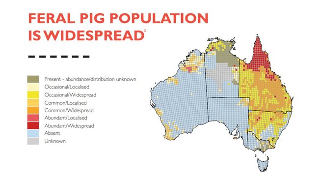 Feral pig population density across Australia. 