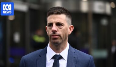 Former AFL umpire Michael Pell to stand trial over alleged Brownlow betting fraud