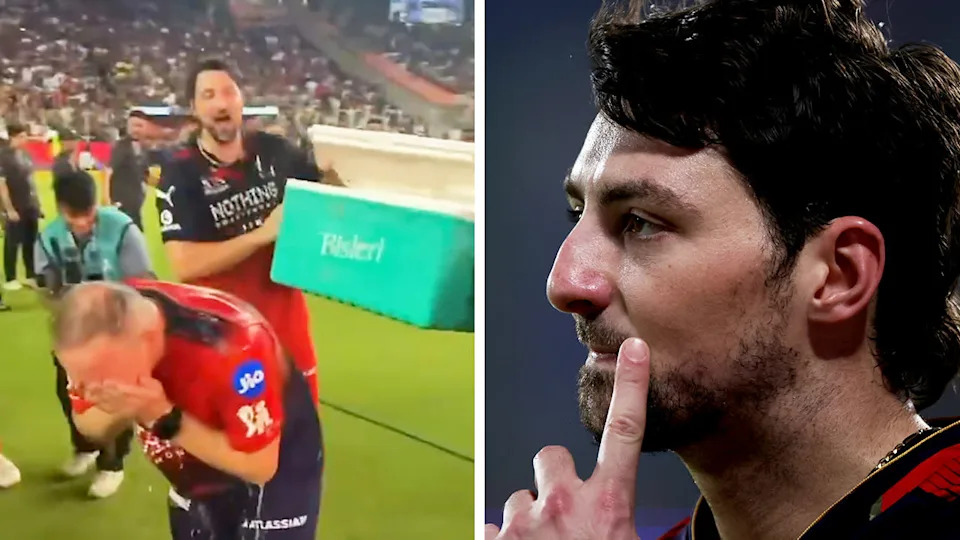 Tim David (pictured right) has been handed a one match suspension and fined 50 per cent of his match fee after the IPL final. (Images: IPL/Getty Images)