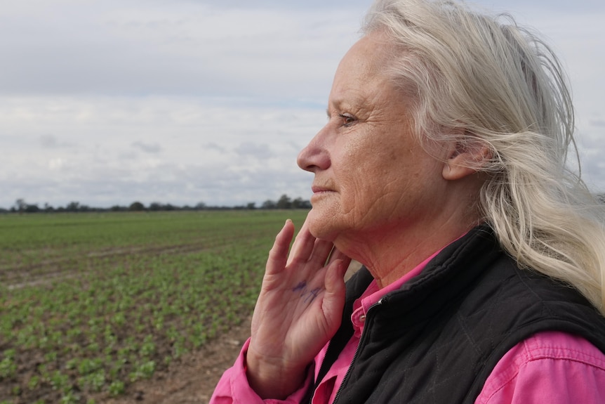 A woman looks at her young crop.