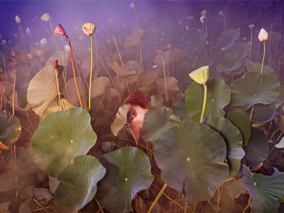 a photograph by Tamara Dean of an individual in a thicket of underwater vegetation