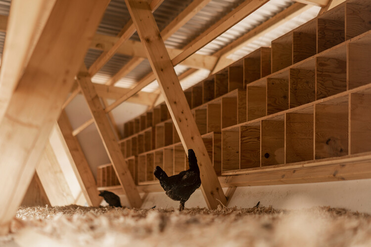 Designing for Chickens: Rethinking How Humans and Animals Share Space - Image 42 of 50