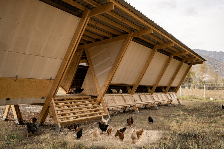 Designing for Chickens: Rethinking How Humans and Animals Share Space - Image 1 of 50