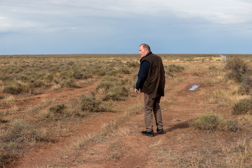 A man wearing a dark coloured shirt and vest stands in a field, looking over his shoulder the sky and horizon visible behind.
