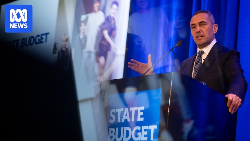 SA government hands down first budget since resounding election win