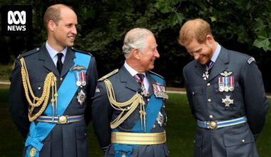 ABC More or Less quiz: Kings and Queens edition