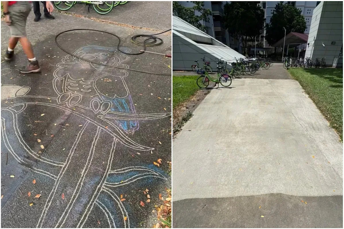 Mountbatten artwork removed by SMRT raises questions about artistic creativity, expression, says MP