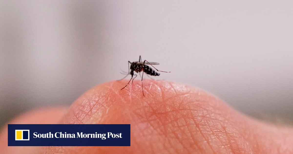 China’s AI-powered laser mosquito zapper goes viral after crowdfunding success