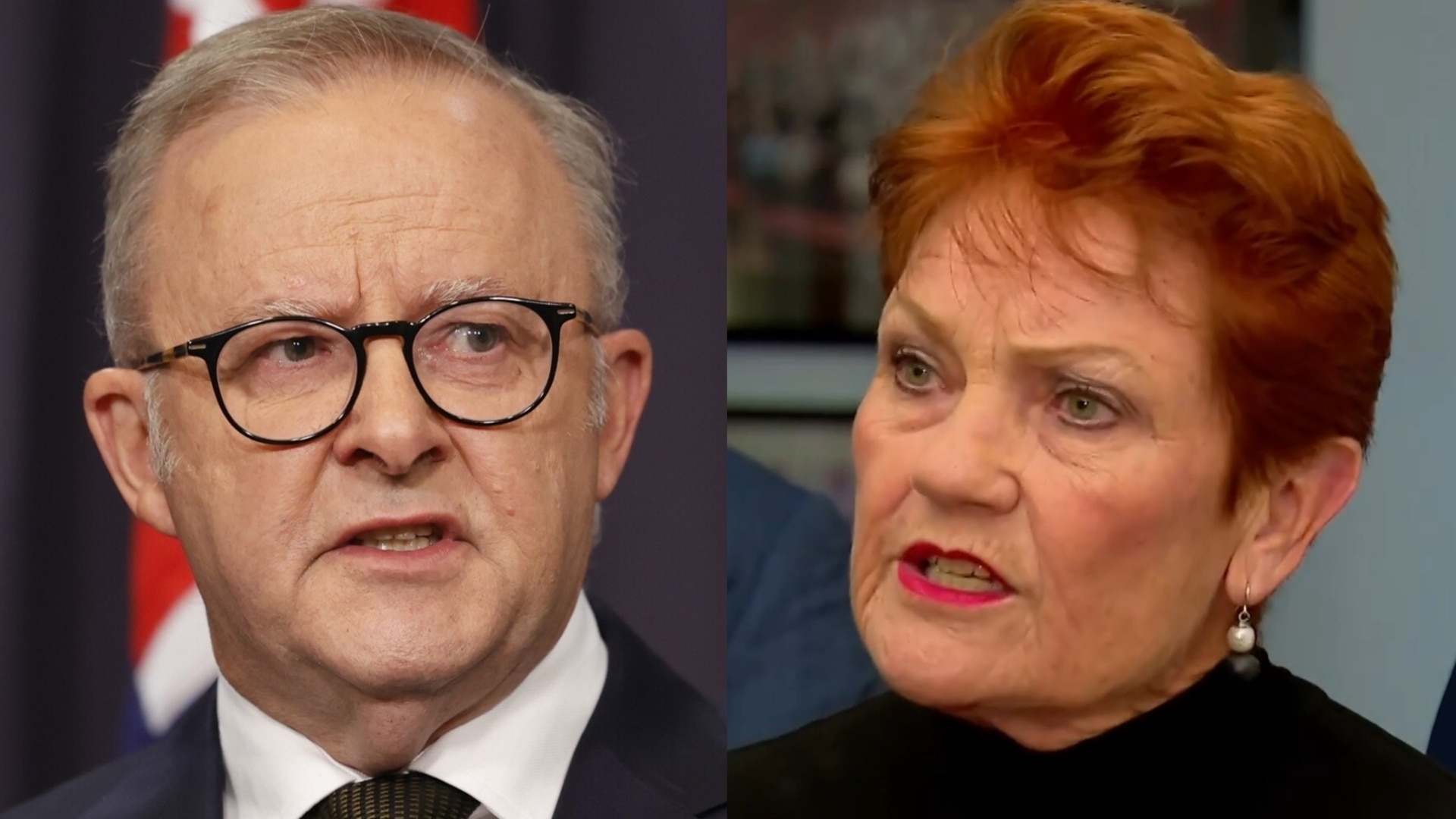 Hanson refuses to back down as Albanese slammed over multiculturalism attack